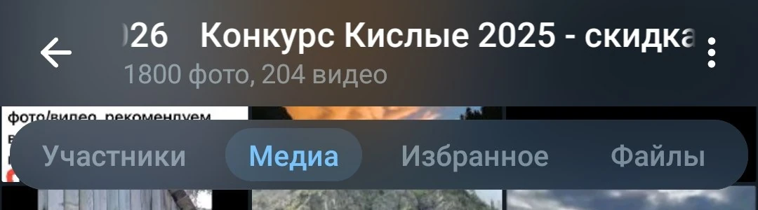 Счётчики медиа конкурса 2025 года: 1800 фото и 204 видео.